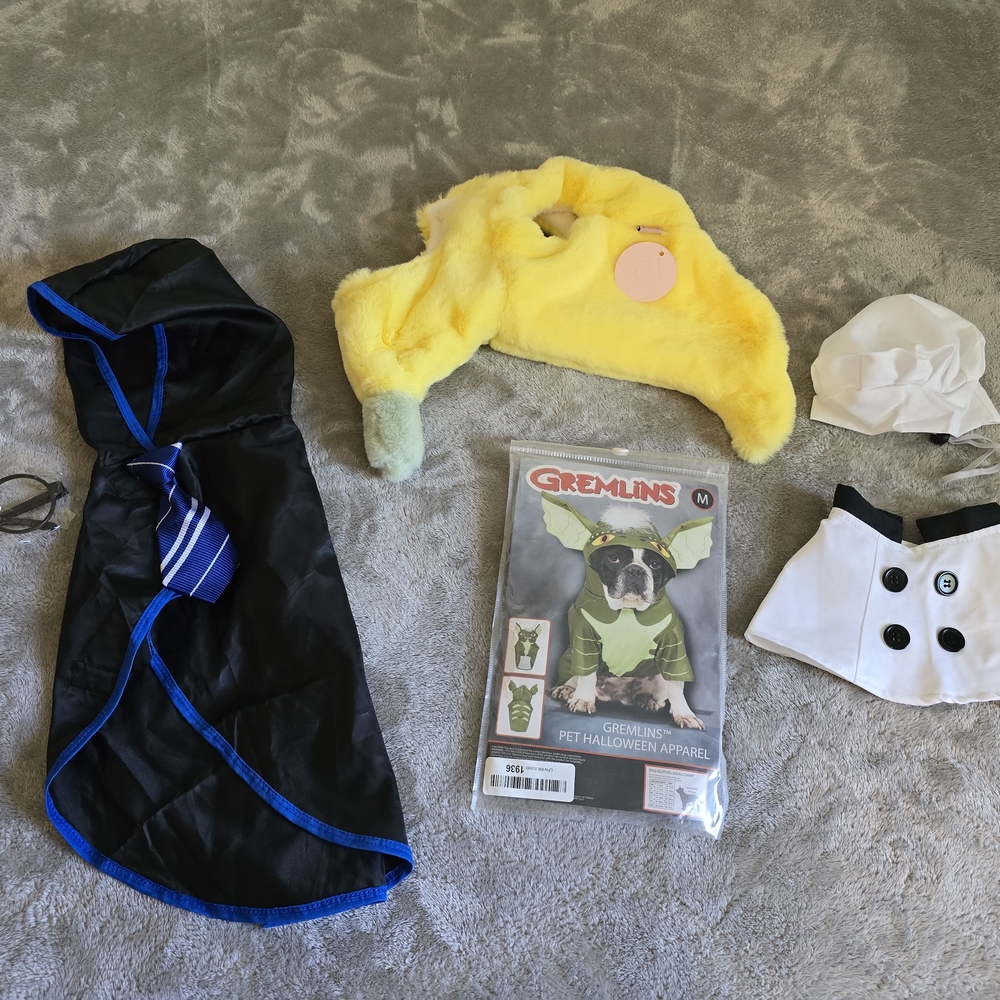 SOLD Dog Or Cat Costume Set